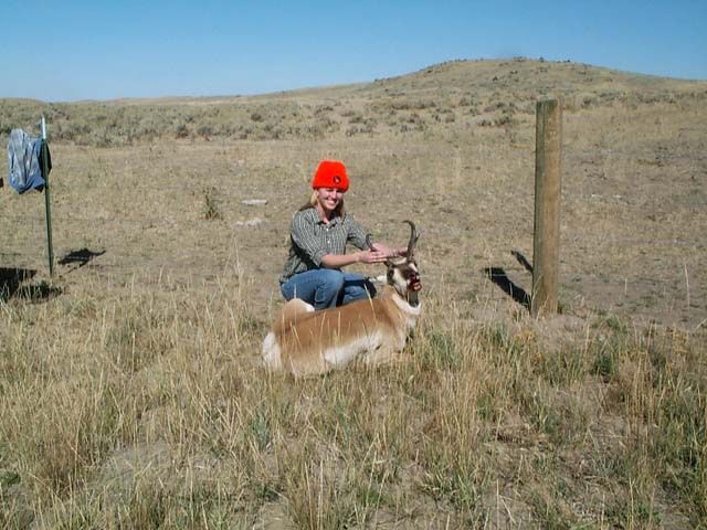 Wifes Wyoming Pronghorn 2/2
