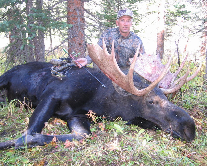 Click to view full size image
 ============== 
Colorado Moose 2005
Archery Moose 2005
Keywords: Moose Archery 2005