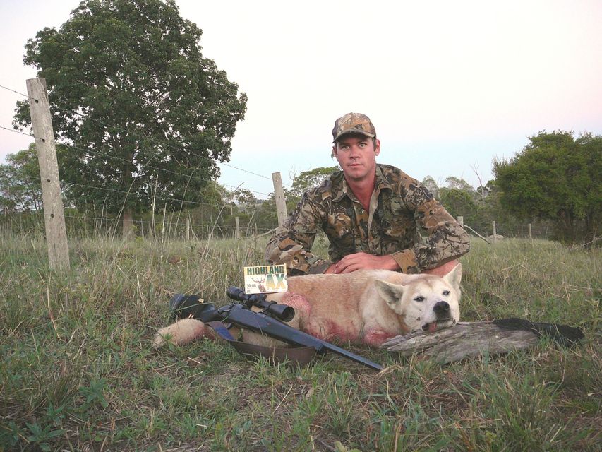 Click to view full size image
 ============== 
Dingo/wild dog Australia
Dog I howled up and took with my 30-06
