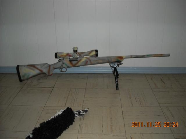 Remington 22-250
Coyote getter #2 in her autumn dress
