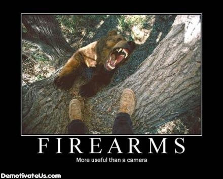 firearms-bear-camera-demotivational-posters.jpg
