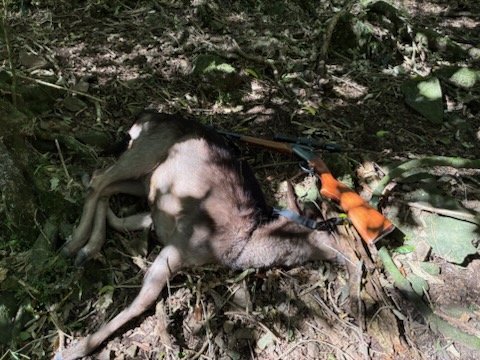 img_20260912_161140.jpg