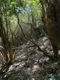 img_20260912_161151.jpg