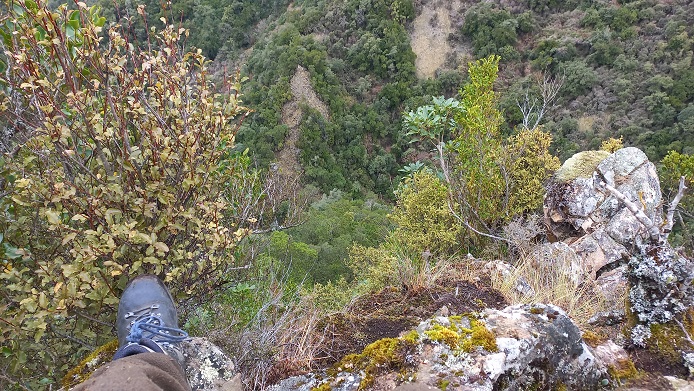 rumpy photo bombup rock resized.jpg