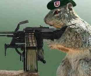 squirrel got you nuts.jpg