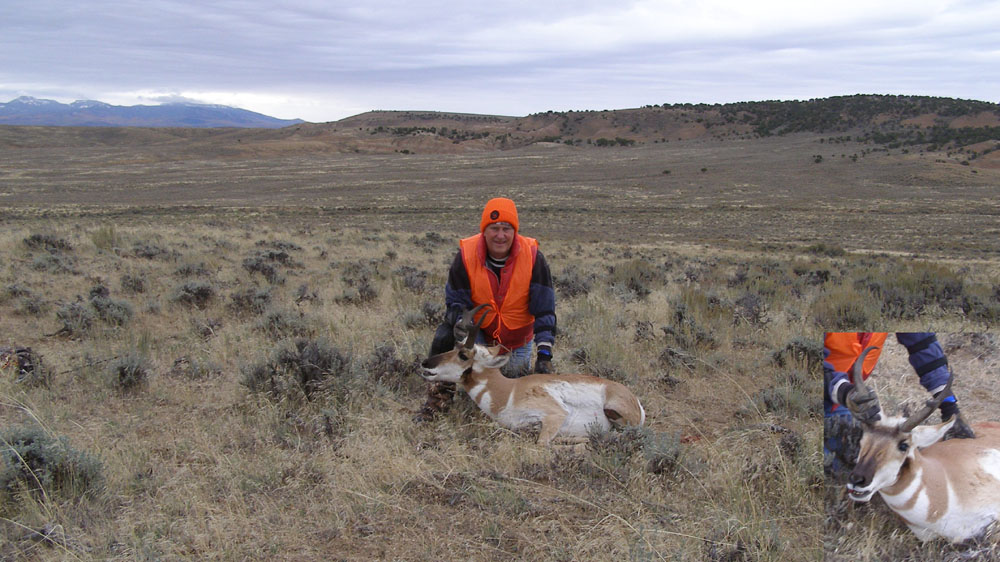 wide angle pronghorn picture 1000.jpg